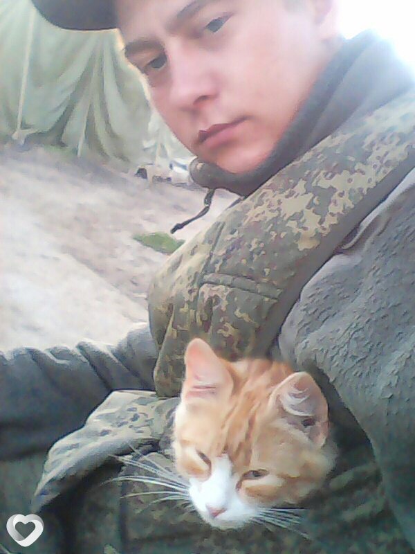Никита, Порхов