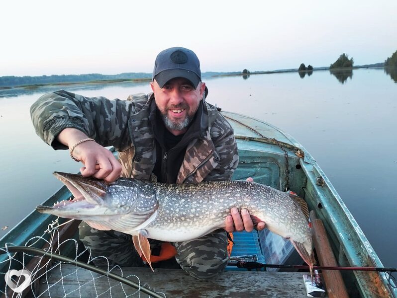 Дмитрий, 43, Нижнем Новгороде — анкета №3147338