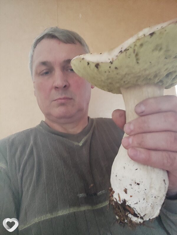Алексей, Светлый
