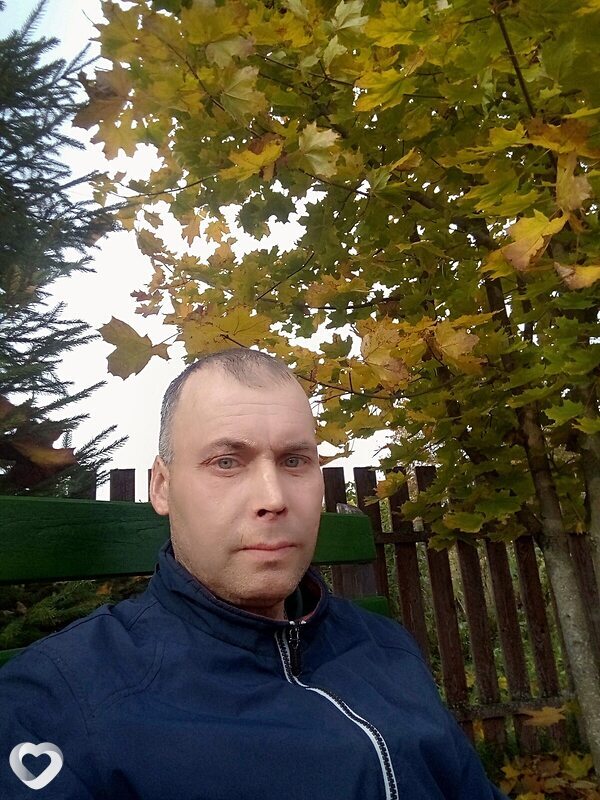 Алексей, Вожега