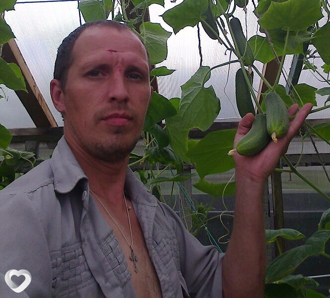 Андрей, 45, Среднеуральске — анкета №3151077