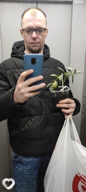 Демис, 26, Санкт-Петербурге — анкета №3151179