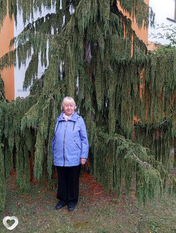 Нина, Рогачев
