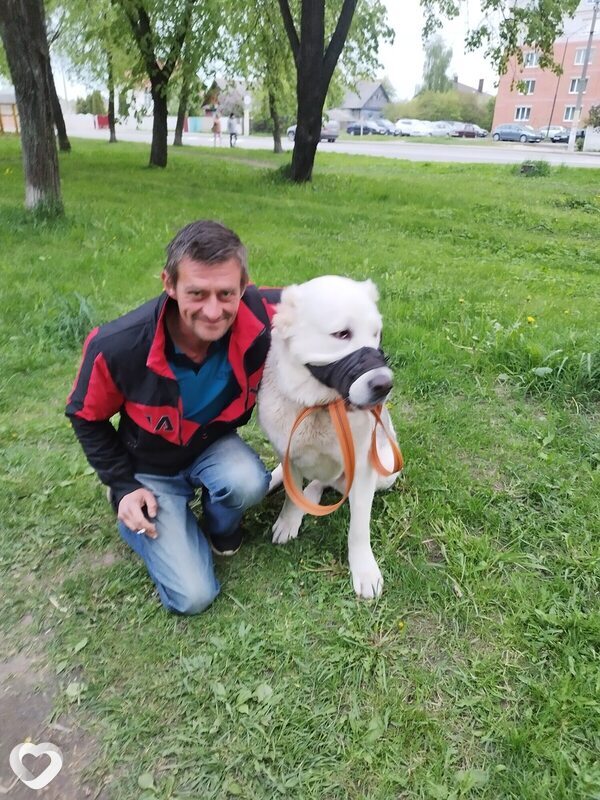 Виталик, 43, Полоцке — анкета №3153538