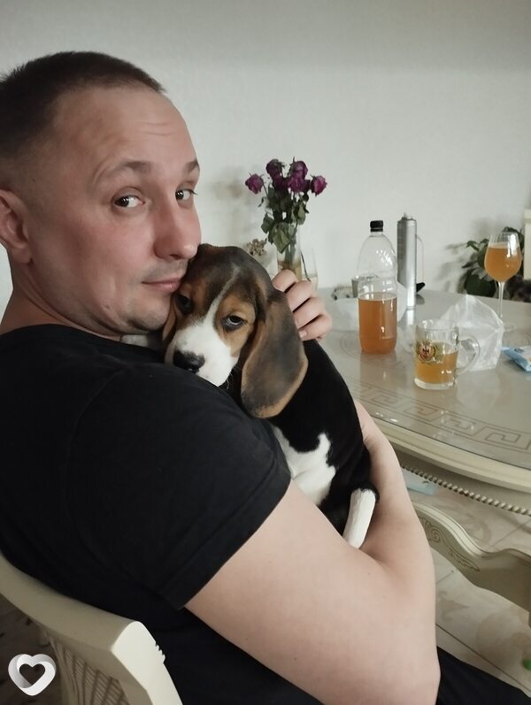 Дмитрий, 38, Архангельске — анкета №3156656