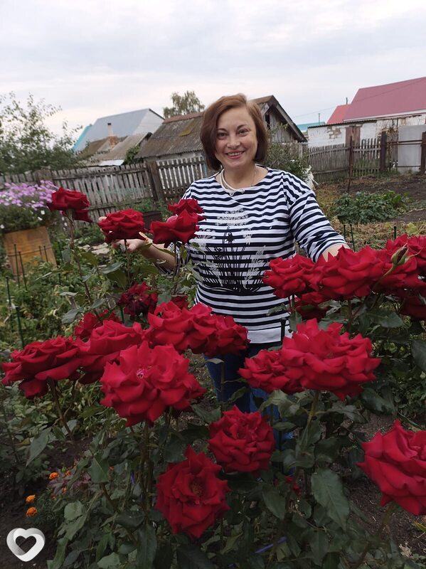 Надежда, 54, Северодвинске — анкета №3159776