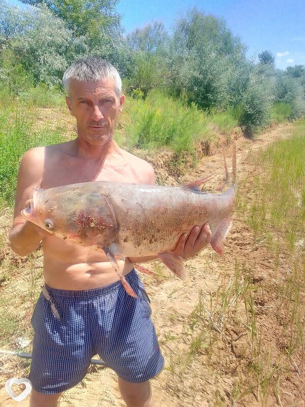 Дмитрий, 51, Выксе — анкета №3164493