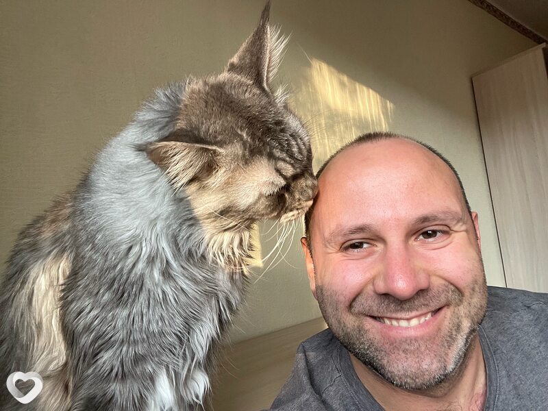 Дмитрий, 38, Мелитополе — анкета №3169158