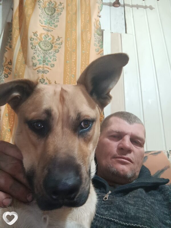 Владимир, 53, Старом Осколе — анкета №3173144