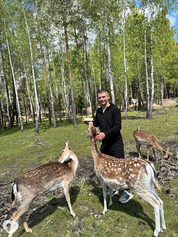 Дмитрий, 31, Одинцове — анкета №3173641