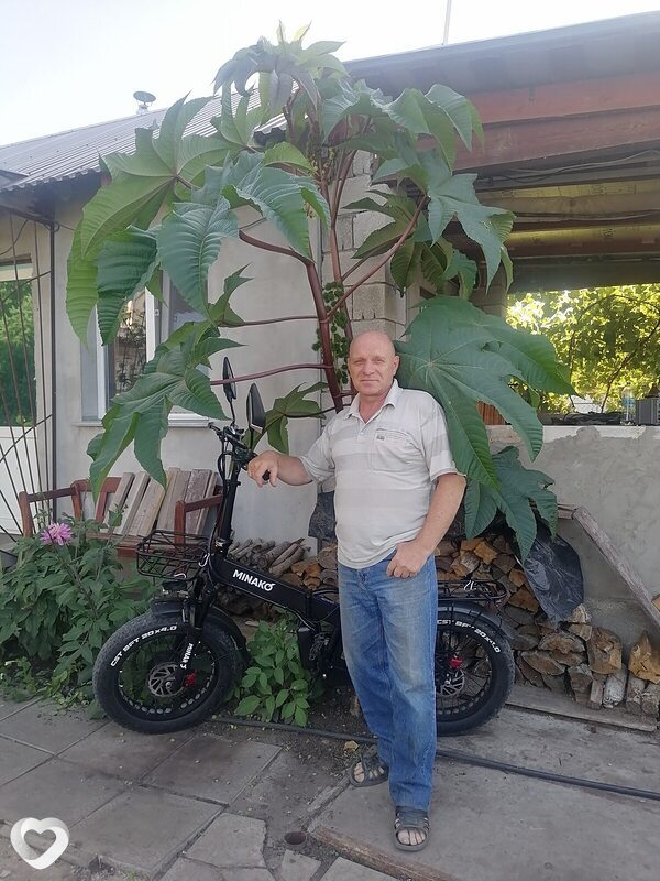 Alex, 66, Самаре — анкета №3183163
