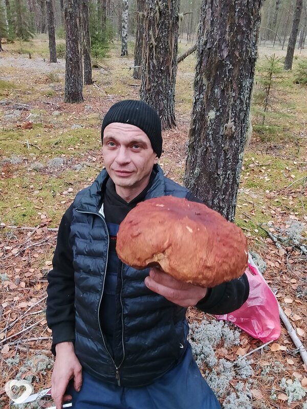 Владимир, Луза