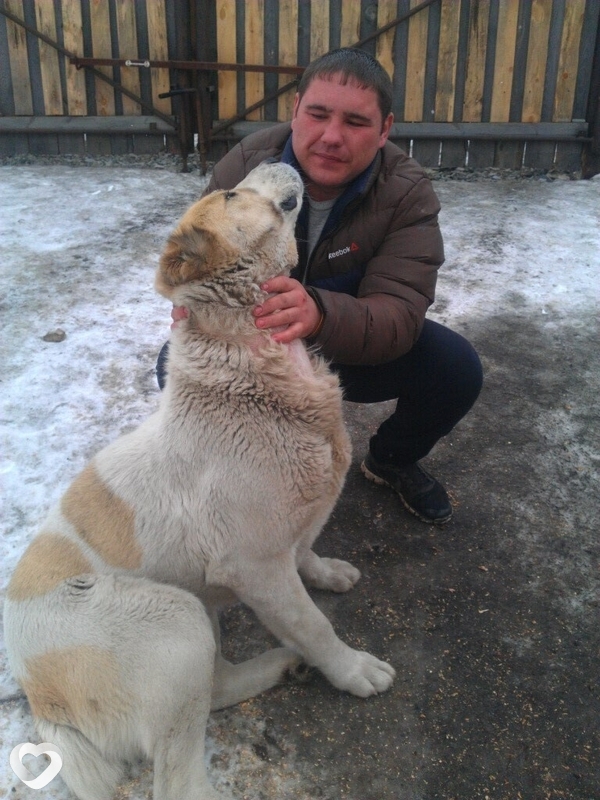 Василий, 33, Нижнем Тагиле — анкета №3192230