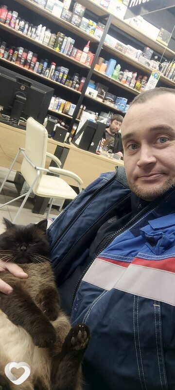 Алексей, 35, Оренбурге — анкета №3193855