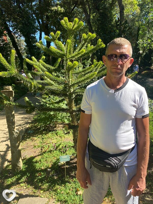 Александр, Волоконовка