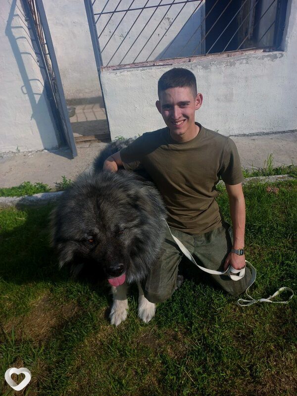 Эльдар, 21, Симферополе — анкета №3210668
