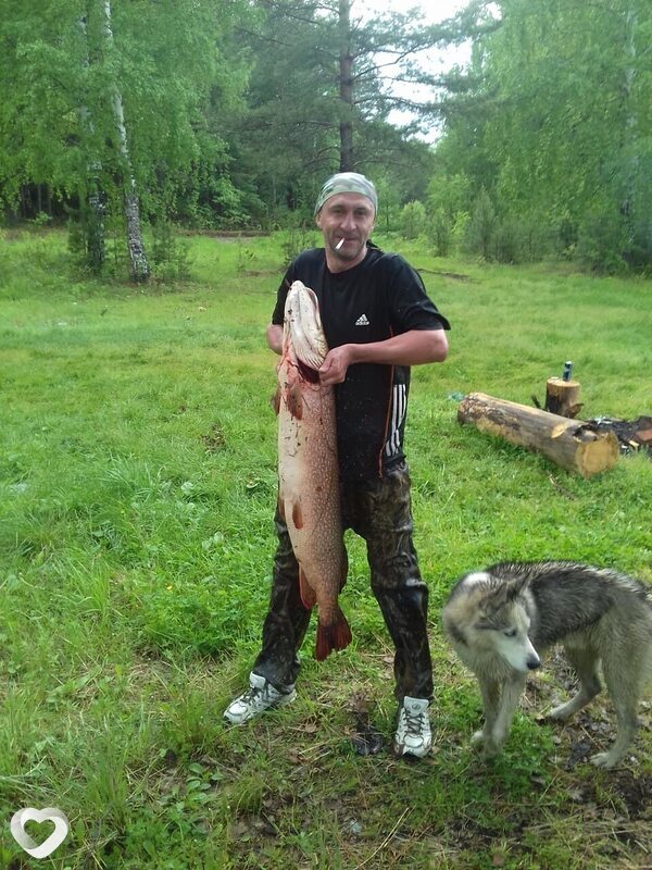 Мастер, Кушва