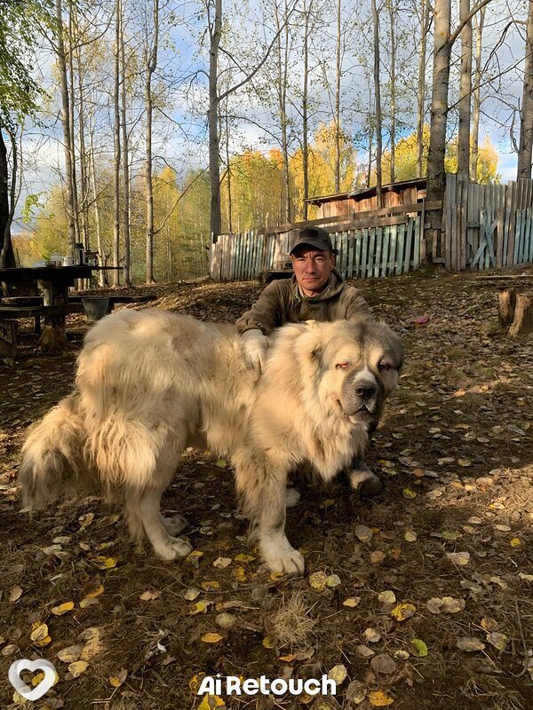 Эльдар, 41, Вологде — анкета №3211900