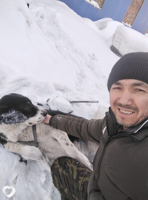 Салах, 39, Кемерове — анкета №3218304