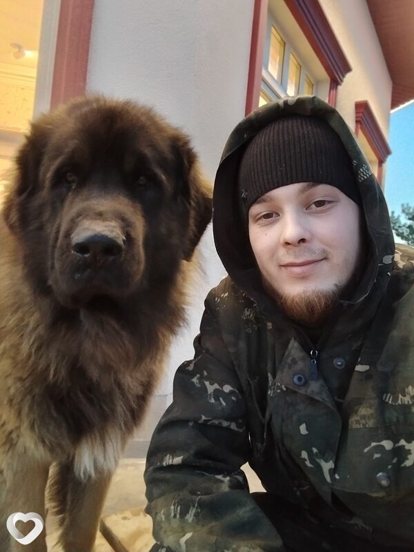 Владимир, 26, Новочебоксарске — анкета №3221683