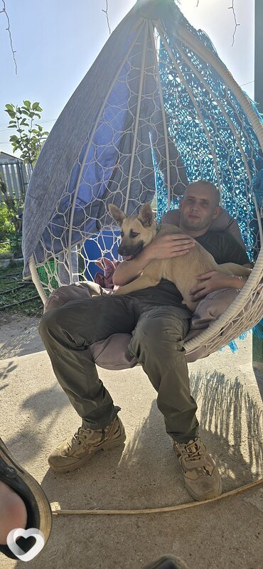 Роман, 35, Ульяновске — анкета №3222940