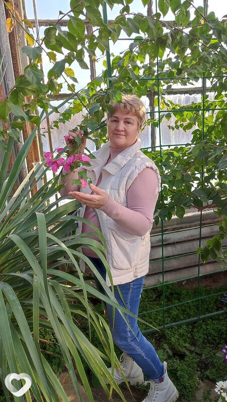 Галина, 62, Волжском — анкета №3223387