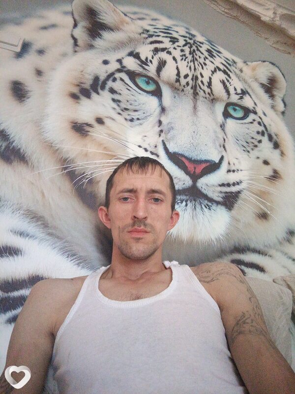 Честный, 34, Рязани — анкета №3232264