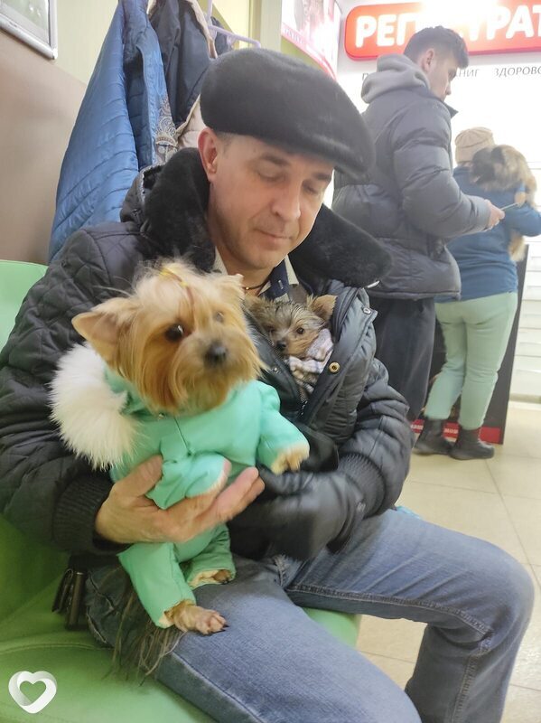 Владимир, 49, Харовске — анкета №3233401