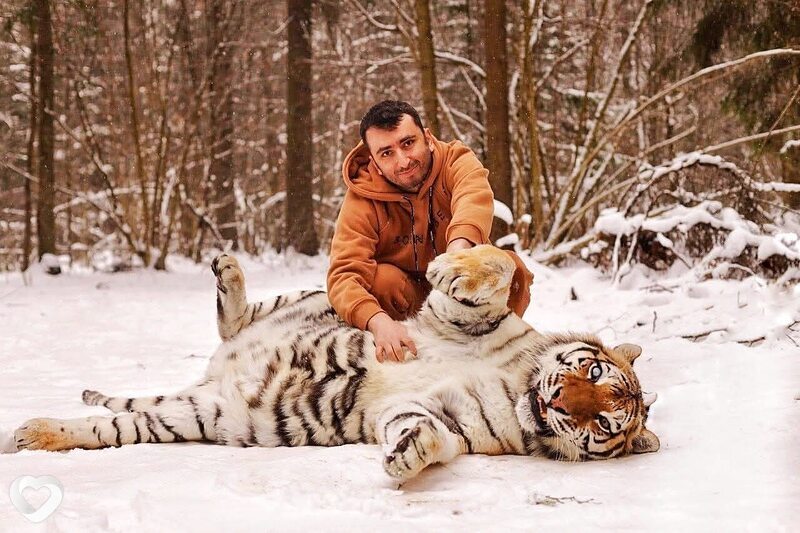 Сергей, 38, Ереван — анкета №3234866