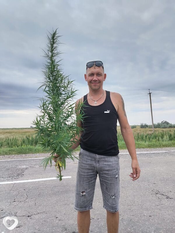 Костя, Соколовый