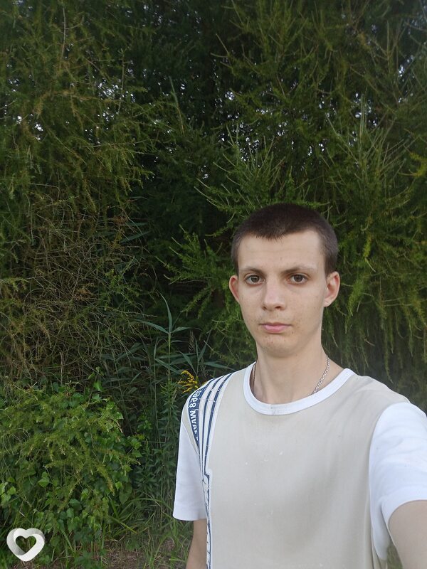 Illia, Катовице