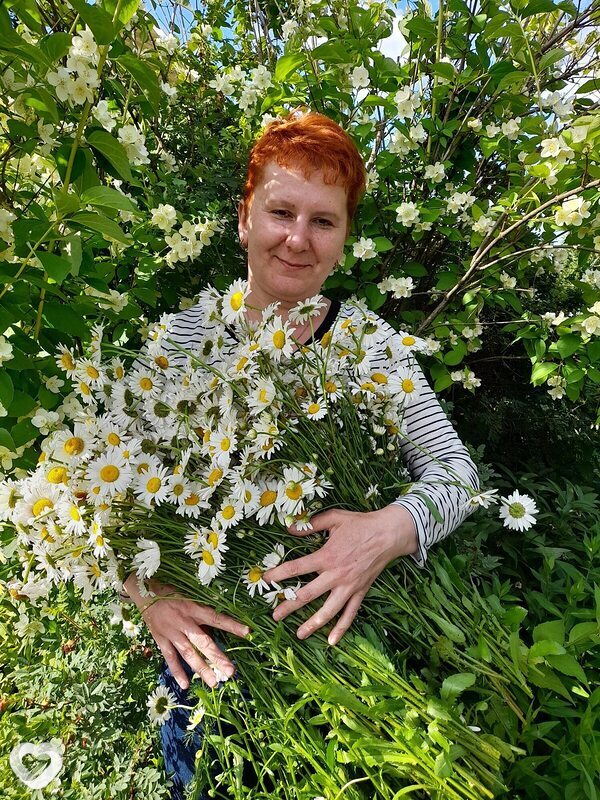 Елена, 54, Глазове — анкета №3251664