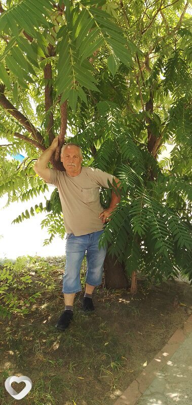 Михаил, 59, Волгограде — анкета №3254439