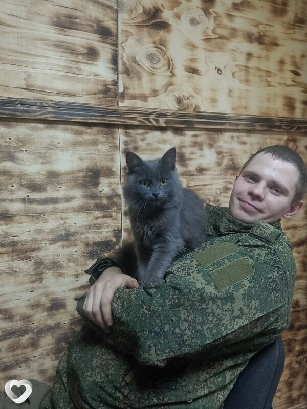 Николай, 31, Шебекине — анкета №3269489