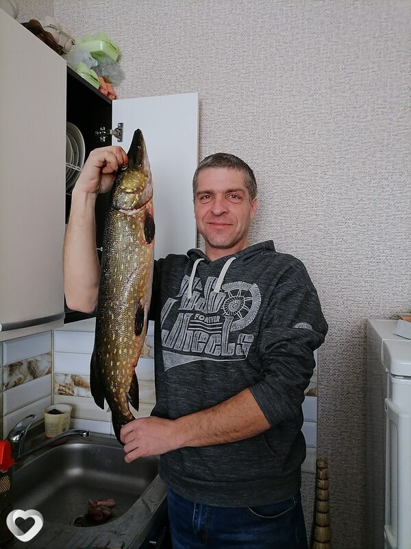 Юрий, Поставы