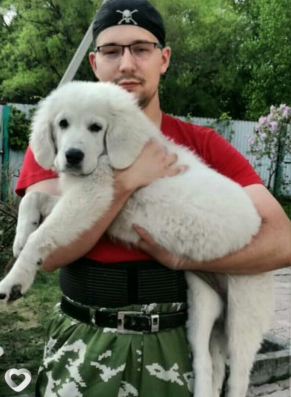 Vasil, 34, Находке — анкета №3280362