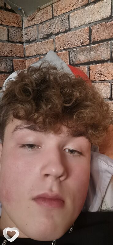Dawid, Полковице