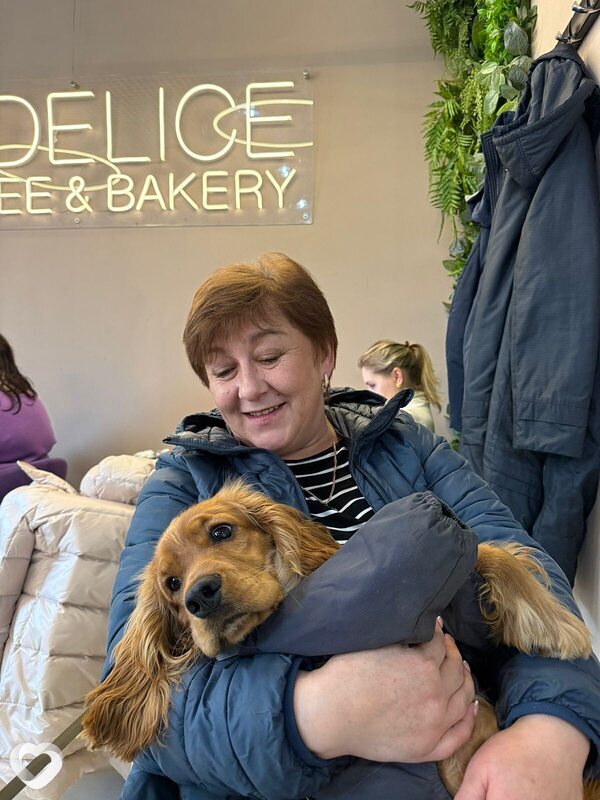 Татьяна, 55, Москве — анкета №3297664