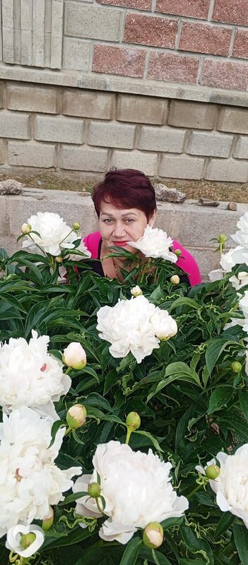 Светлана, 51, Иркутске — анкета №3305165