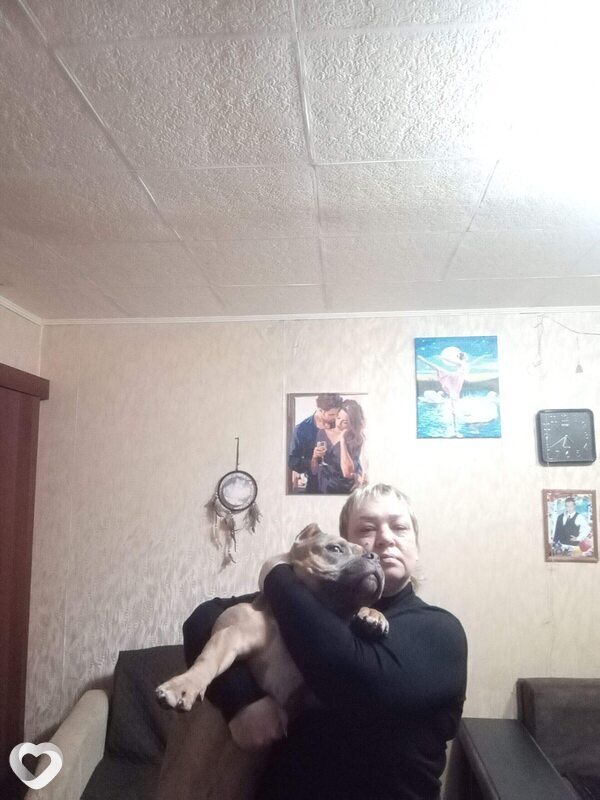 Ольга, 48, Нижнем Тагиле — анкета №3305342