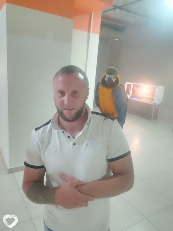 Владимир, 32, Магадане — анкета №3309702