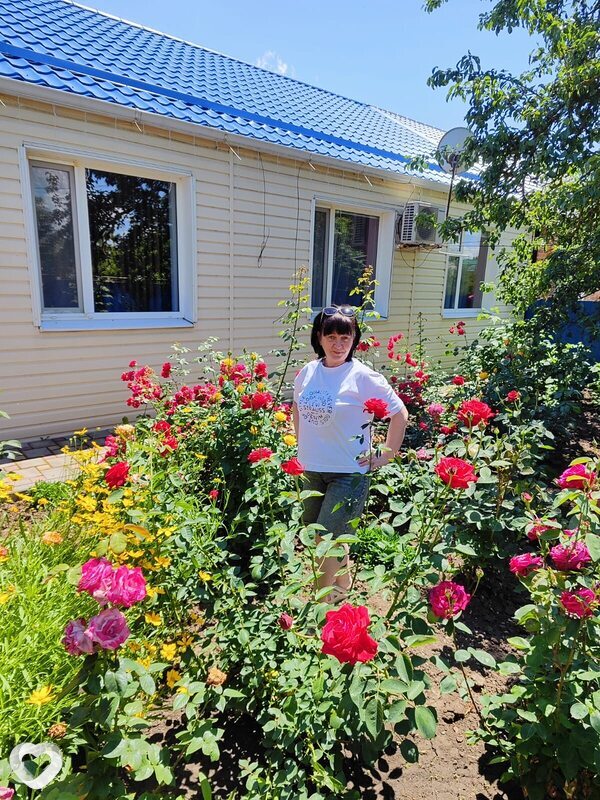 Ольга, 58, Ростове-на-Дону — анкета №3312293