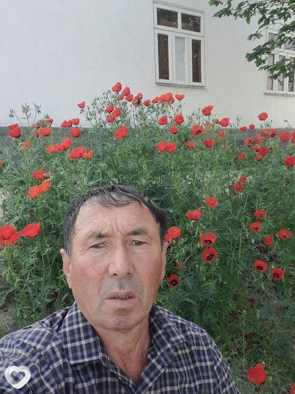 Мухиддин, Гулистан