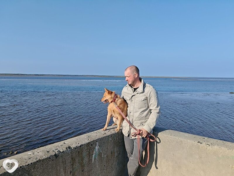 Андрей, Гороховец