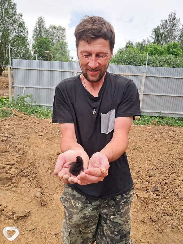 Аандрей, 42, Химках — анкета №3322715