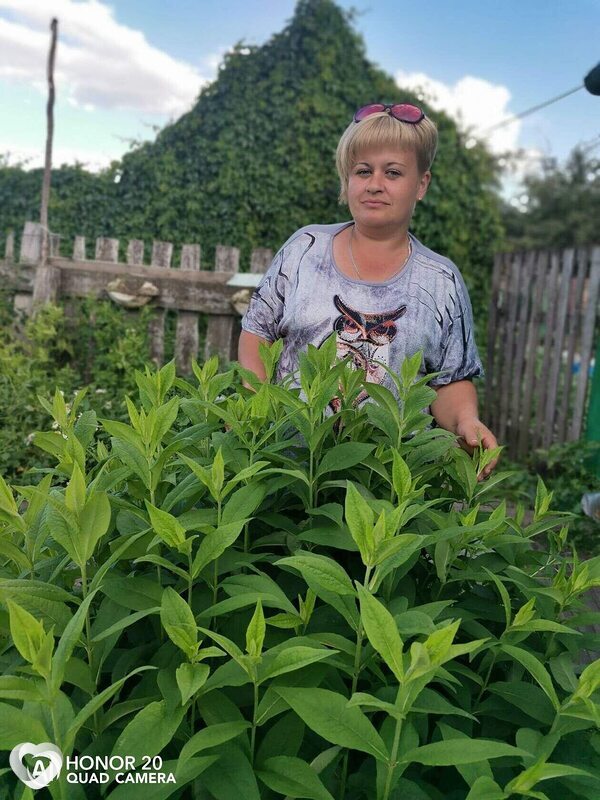 Наталья, 40, Новомосковске — анкета №3323309