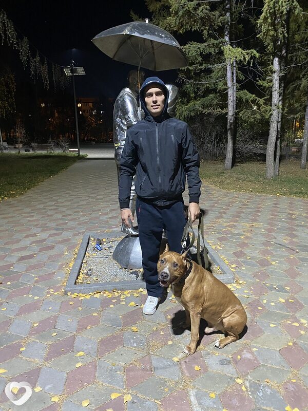 Дмитрий, 32, Омске — анкета №3324922