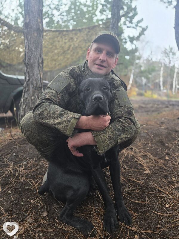 Андрей, 38, Санкт-Петербурге — анкета №3325600