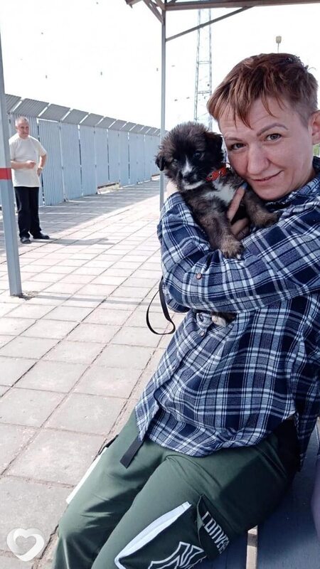Ксюша, 49, Новокуйбышевске — анкета №3327384