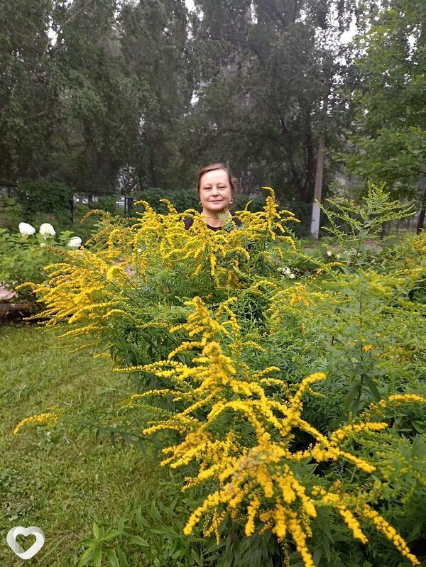 Нина, 45, Новокузнецке — анкета №3329253